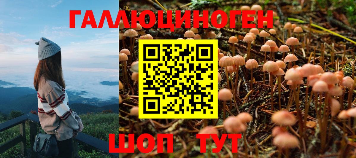 Псилоцибиновые грибы MAGIC MUSHROOMS  Вход с VPN  сколько стоит  Белгород 