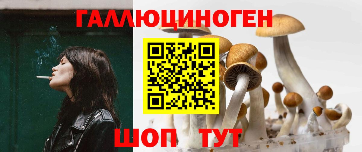 Галлюциногенные грибы мухоморы Белгород